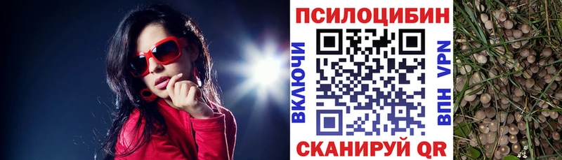 МЕГА сайт Шатура Псилоцибиновые грибы GOLDEN TEACHER